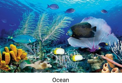 DECO-Scene-example-10