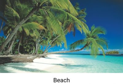 DECO-Scene-example-22
